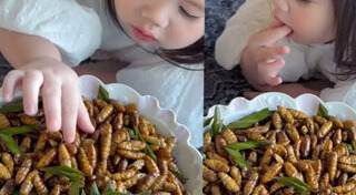 แมลงทอด