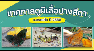 เที่ยวสระแก้ว