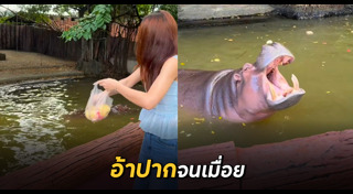 นักท่องเที่ยว