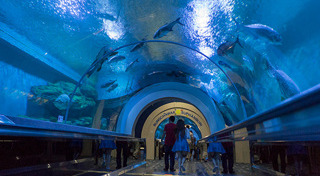 ที่เที่ยวสุพรรณบุรี