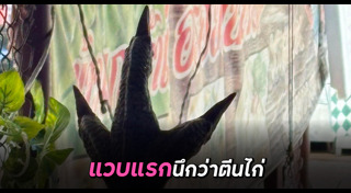 ภาพลวงตา