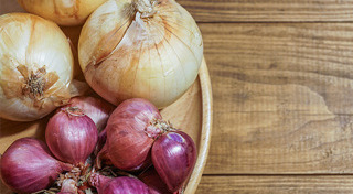 วิธีเก็บอาหาร