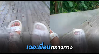 สไลเดอร์