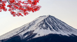 ประกันการเดินทาง