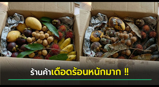 ข่าวต่างประเทศ