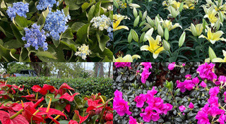 ที่เที่ยวหน้าหนาว