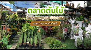 ตลาดต้นไม้