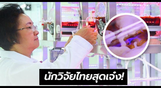 สมุนไพรปลุกอารมณ์ทางเพศ