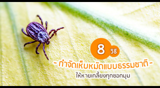 เห็บหมัด