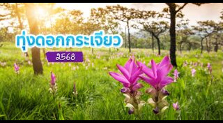 ที่เที่ยวชัยภูมิ