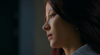 นาย ใบเฟิร์น