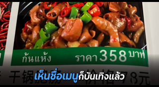 แปลภาษา