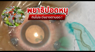 กินอาหารสุกๆดิบๆ