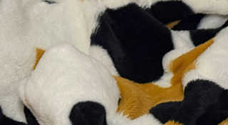 ผ้าขนหนู