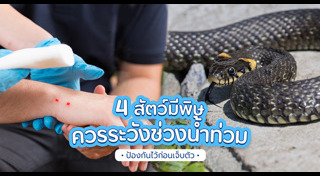 การปฐมพยาบาล