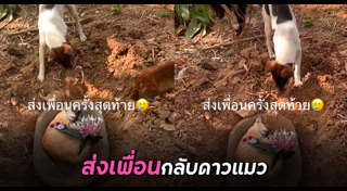 มิตรภาพต่างสายพันธุ์