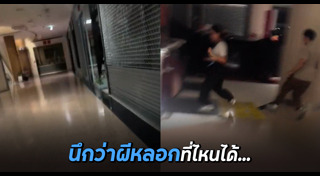 นกกระจอกเทศ