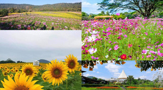 ที่เที่ยวเขาใหญ่