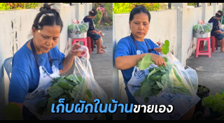 สุนารี ราชสีมา