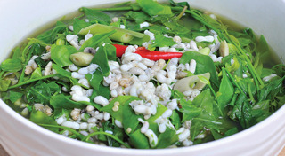 ผักหวานป่า