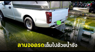 แฟลตตำรวจ