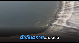 งูสามเหลี่ยม