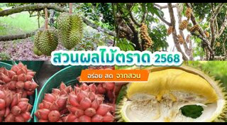 สวนผลไม้