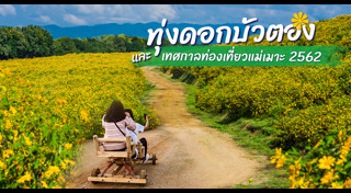 ที่เที่ยวลำปาง