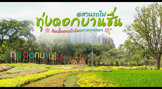 เส้นทางดอกไม้