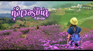 เที่ยวม่อนแจ่ม