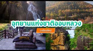 เที่ยวเชียงใหม่