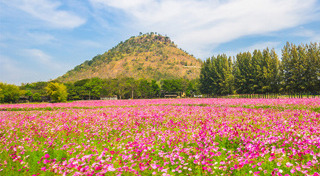 ที่เที่ยวโคราช