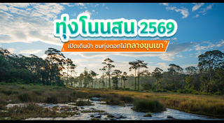 ที่เที่ยวหน้าหนาว