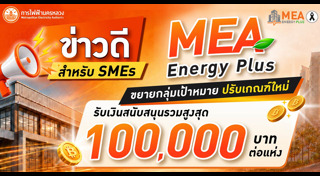การไฟฟ้านครหลวง