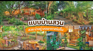 บ้านชั้นเดียว