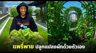 แพรี่พาย