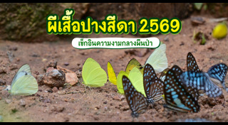 ที่เที่ยวหน้าฝน