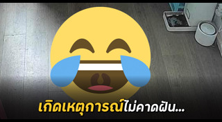 สัตว์ผสมพันธุ์