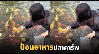 ปลาคาร์พ