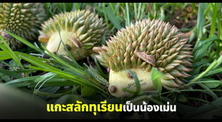 แกะสลัก