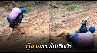 เดินป่า