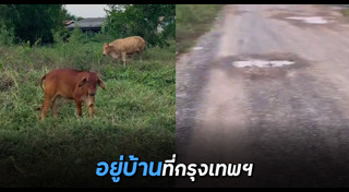 กรุงเทพฯ