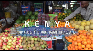 เที่ยวแอฟริกา