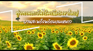 ที่เที่ยวเขาใหญ่