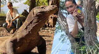 มังกรโคโมโด