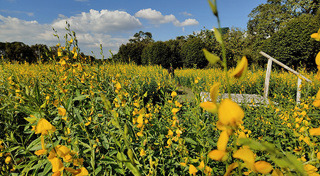 เที่ยวกรุงเทพ