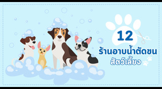 วิธีเลี้ยงสุนัข