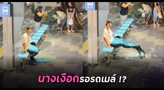 นางเงือก