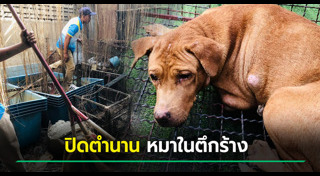 ทารุณสัตว์