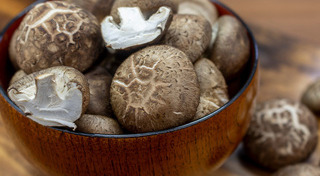 วิธีเก็บอาหาร